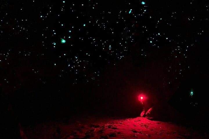 Blue Mountains Glow Worm Night Hike to Cave & Waterfall photo 6