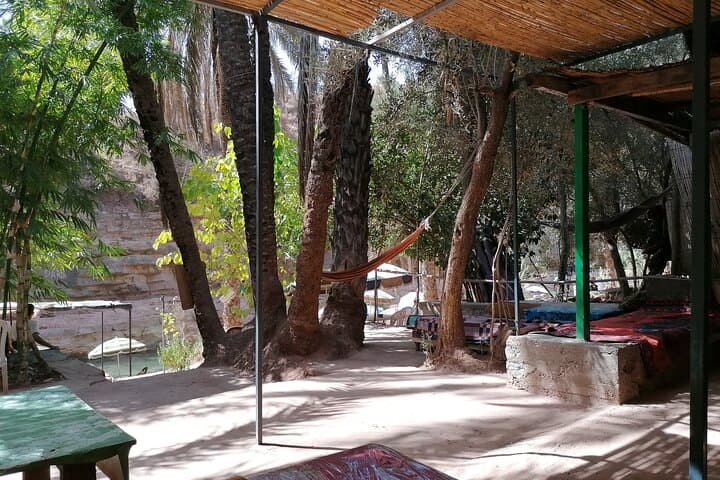 Paradise Valley Day Trip from Agadir — High Atlas & Local Old Market Private Tour