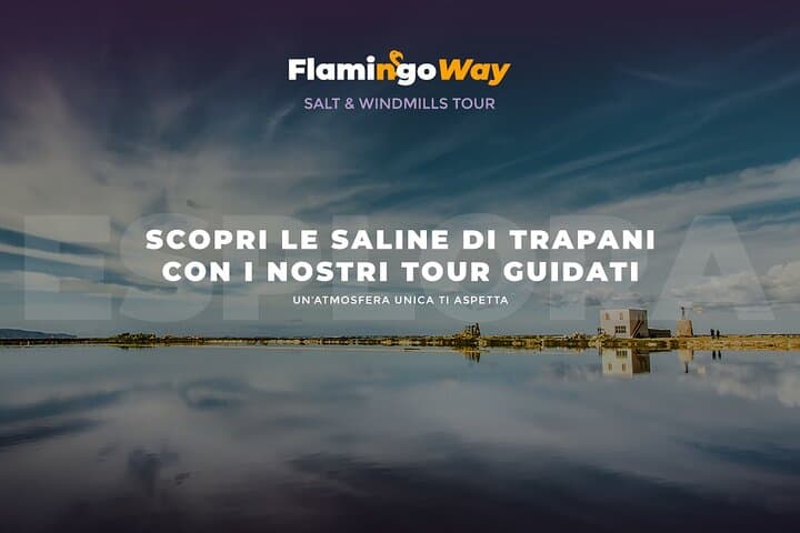 Afternoon Saline Tour — Flamingos & Salt Flats near Trapani photo 2