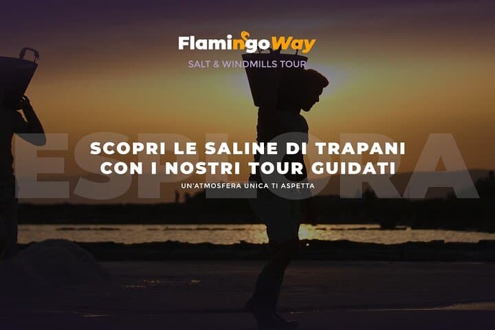 Dawn Salt Pans Tour: Sunrise Birdwatching at Saline di Trapani photo 2