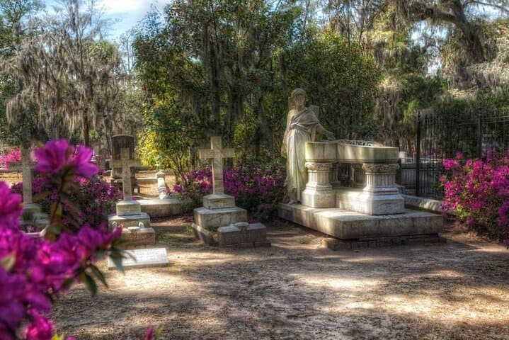 Bonaventure Cemetery Tour in Savannah: 90-Minute Historical & Ghost Walk photo 5