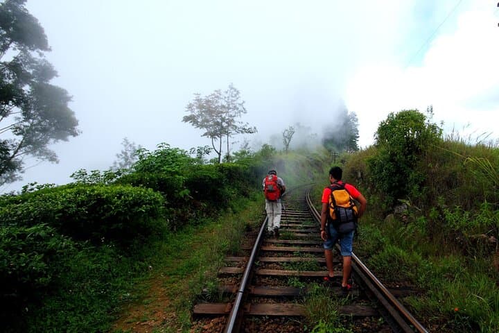 Haputale Tea Estate Walk from Ella — Lipton’s Seat & Dambethenna Trail