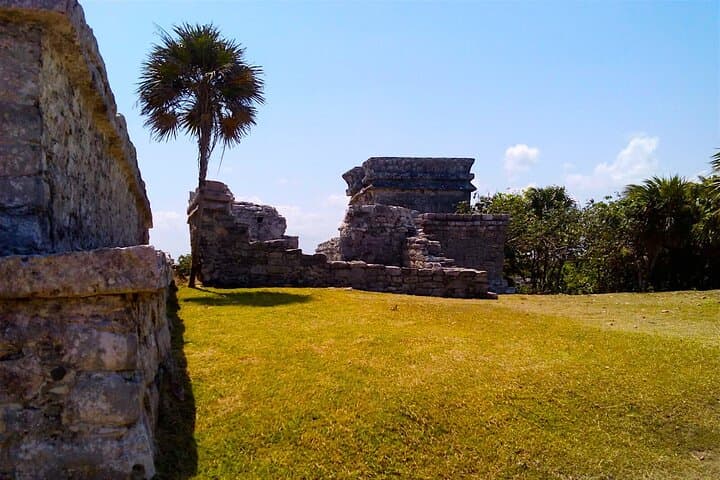 Tulum, Coba & Cenote Day Tour from Cancun — Climb Coba, Swim a Cenote & Stroll Quinta Avenida photo 3