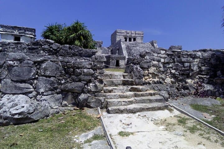 Tulum, Coba & Cenote Day Tour from Cancun — Climb Coba, Swim a Cenote & Stroll Quinta Avenida photo 4