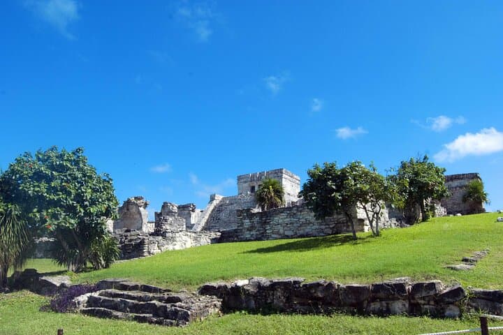 Tulum, Coba & Cenote Day Tour from Cancun — Climb Coba, Swim a Cenote & Stroll Quinta Avenida photo 5