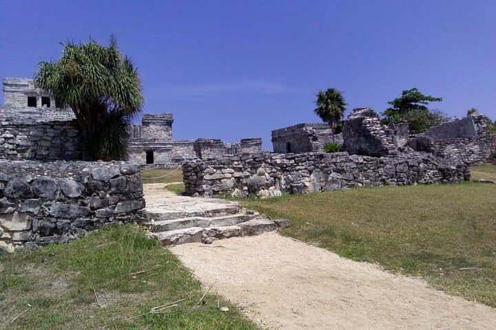 Tulum, Coba & Cenote Day Tour from Cancun — Climb Coba, Swim a Cenote & Stroll Quinta Avenida photo 6