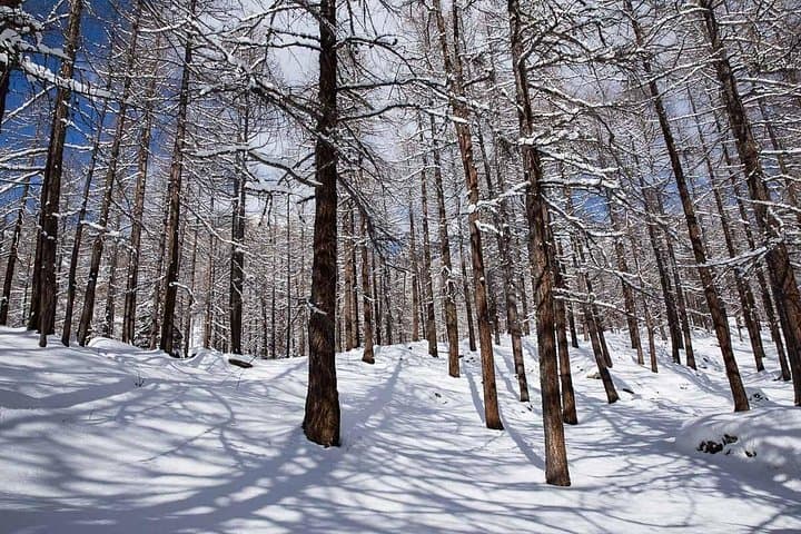 Photo-Hiking Mount Rosa: Private Full-Day Photo Trek from Saint-Jacques photo 6