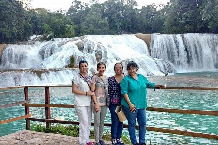 Full-Day Agua Azul, Misol-Ha & Palenque Tour from San Cristóbal photo 6