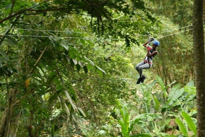 Zipline St. Lucia: Treetop Canopy Tour Through the Rainforest photo 4