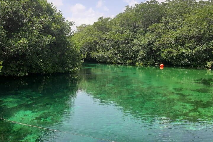 Private Cenotes Tour from Playa del Carmen — Swim an Underground River & Open Cenote photo 3