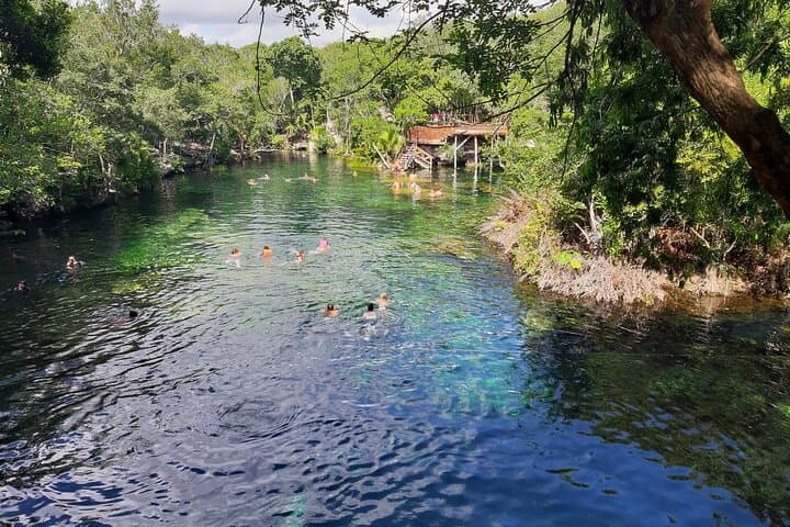 Private Cenotes Tour from Playa del Carmen — Swim an Underground River & Open Cenote photo 5