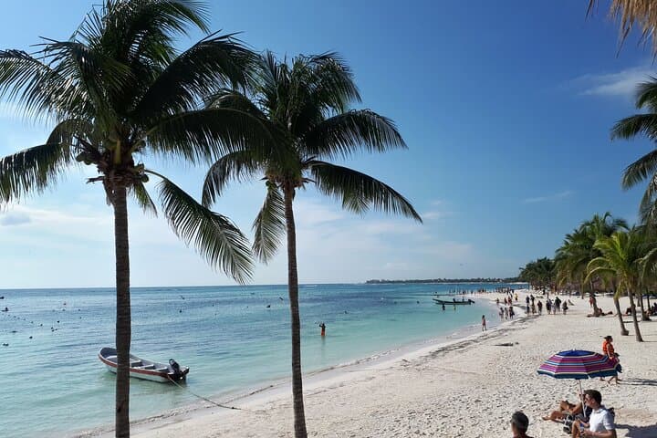 Akumal Turtle Snorkel & Cenote Swim — Private Tour from Playa del Carmen photo 4
