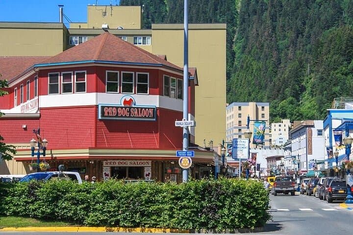 Exploring Mendenhall Glacier: A Convenient Trolley Tour From Juneau's Cruise Dock photo 5