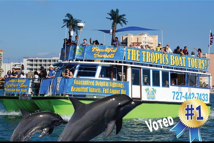 Guaranteed Dolphin Watching Cruise in Clearwater