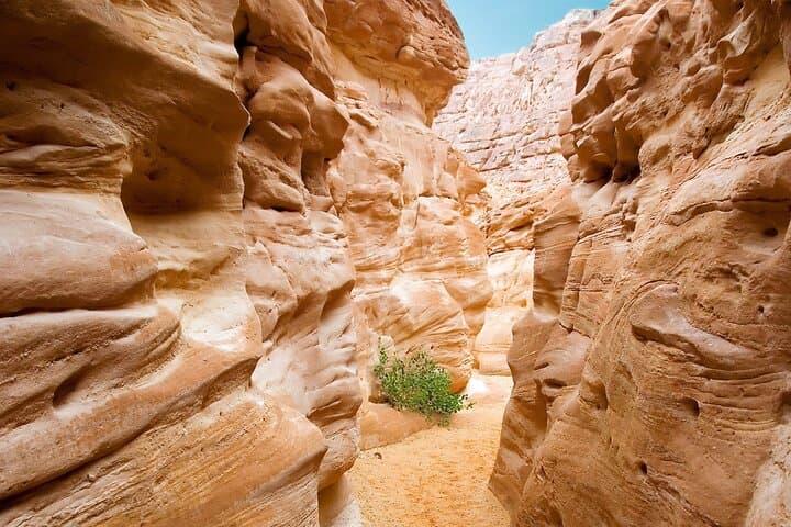 Sinai 4x4 Jeep Adventure from Dahab — Double Canyon, Dunes & Sandboarding photo 4
