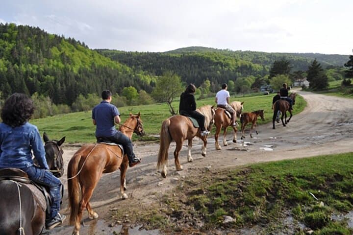 Rila Mountains Road Trip from Sofia – GPS-Guided Self-Drive Adventure photo 2