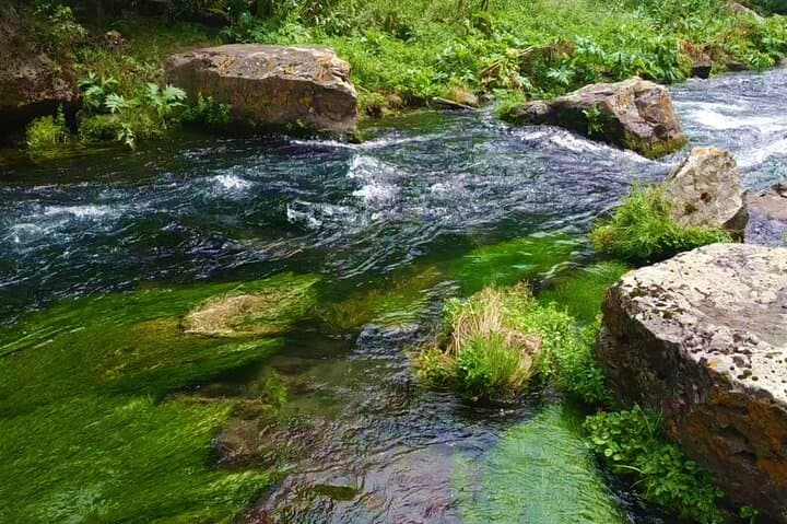 8-Day Georgia Fishing Tour — Lakes, Rivers & Protected Areas photo 2