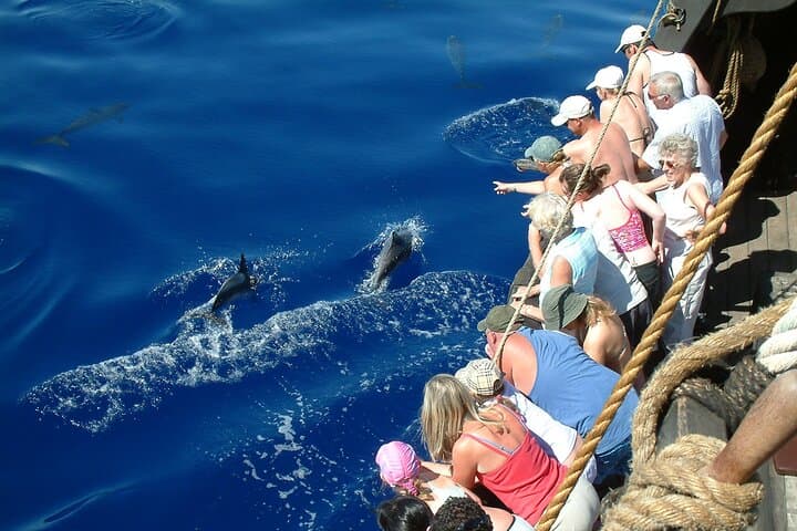 Sail the Santa Maria de Colombo: Historic Replica Cruise to Cabo Girão, Madeira photo 2