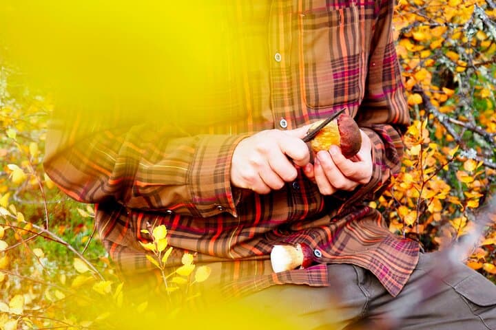 Mushroom Hunting in Liesjärvi National Park — Chanterelle Foraging from Helsinki photo 2