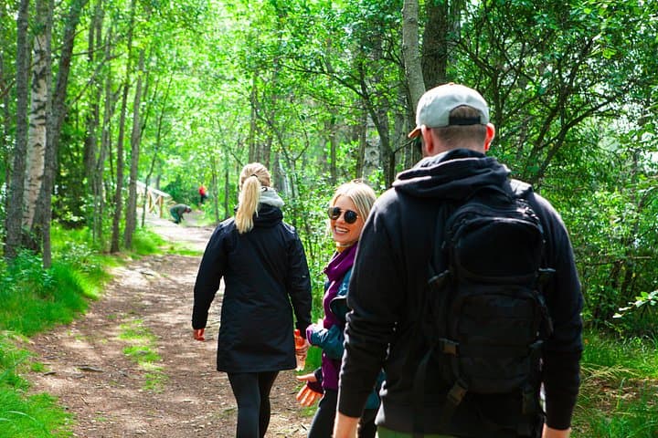 Forage the Taiga: Berry Picking Day Trip to Liesjärvi National Park photo 2