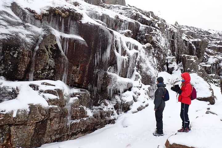 Guided Winter Hike to Pulpit Rock (Preikestolen) — From Stavanger to the Edge of Lysefjord photo 6