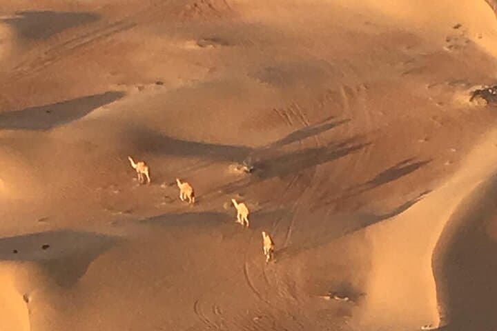 Dubai Morning Desert Balloon Ride: Sunrise Over Dunes & Wildlife photo 4