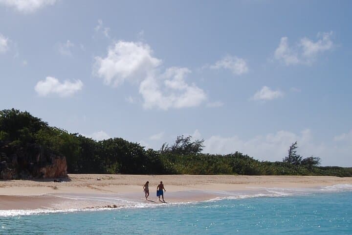 Full-Day Private Catamaran Charter Around St. Maarten — Snorkel, Sail & Turtle Swim photo 5