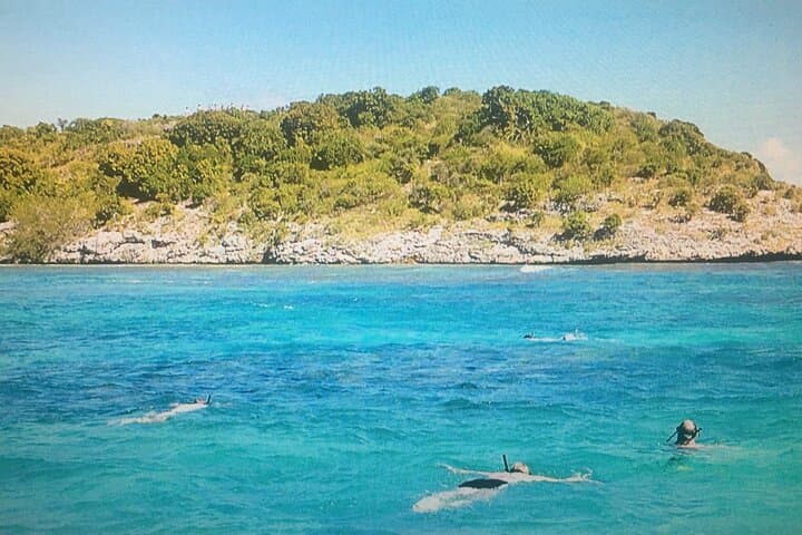 Cades Reef Snorkel Cruise from St. John's — Antigua's Top Snorkel & Beach Lunch photo 3