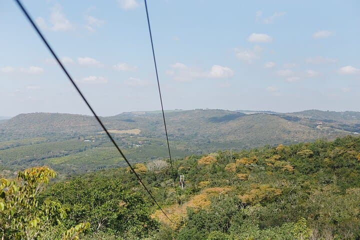 Glide the Aerial Cable Trail Over Sabie River Valley — Hazyview Zipline Adventure photo 3