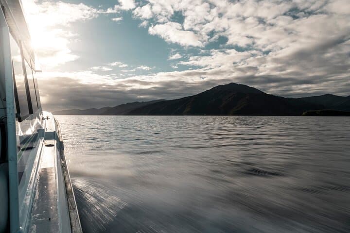 Marlborough Sounds Delivery Cruise: 3.5-Hour Queen Charlotte Sound Experience photo 4
