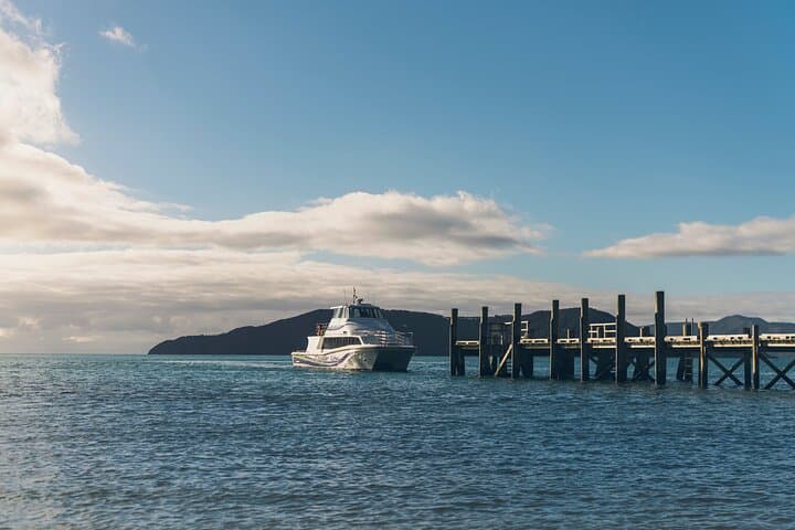 Marlborough Sounds Delivery Cruise: 3.5-Hour Queen Charlotte Sound Experience