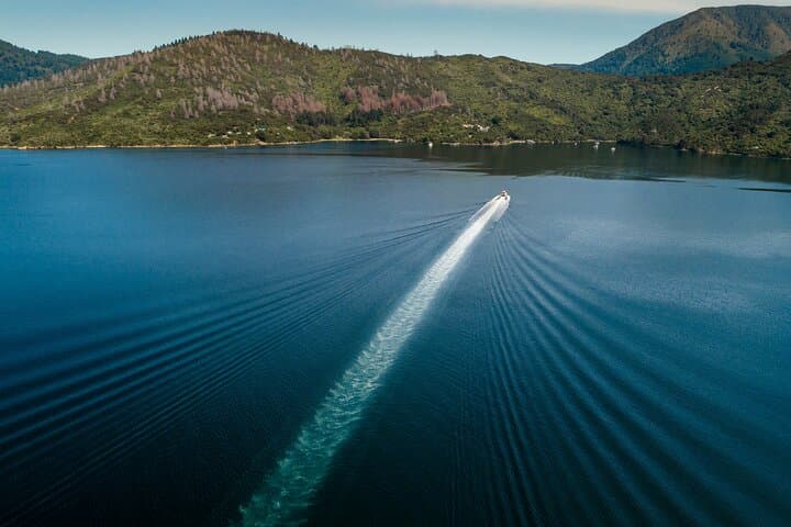 Marlborough Sounds Delivery Cruise: 3.5-Hour Queen Charlotte Sound Experience photo 6