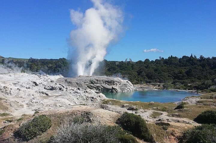 Whakarewarewa Geothermal Māori Village Tour — Pohutu Geyser, Hangi & Cultural Performance photo 2