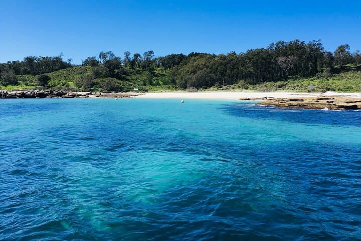 Jervis Bay Passage Tour — Hyams Beach, Point Perpendicular & Dolphin Watching Cruise