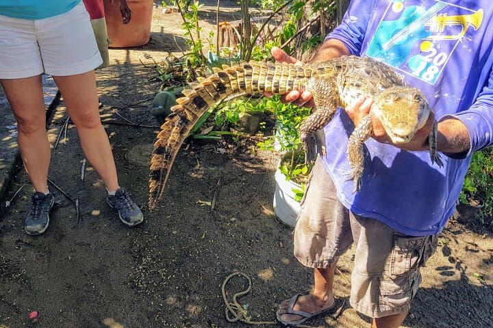 Coyuca Lagoon Boat Ride & Baby Turtle Release — 6‑Hour Acapulco Tour photo 5