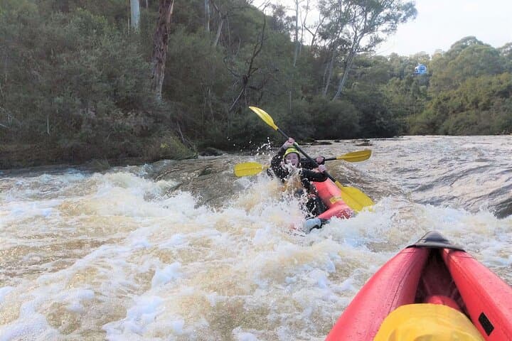Yarra River Whitewater Rafting at Wonga Park: 2-Hour Grade 2 Adventure from Melbourne photo 6