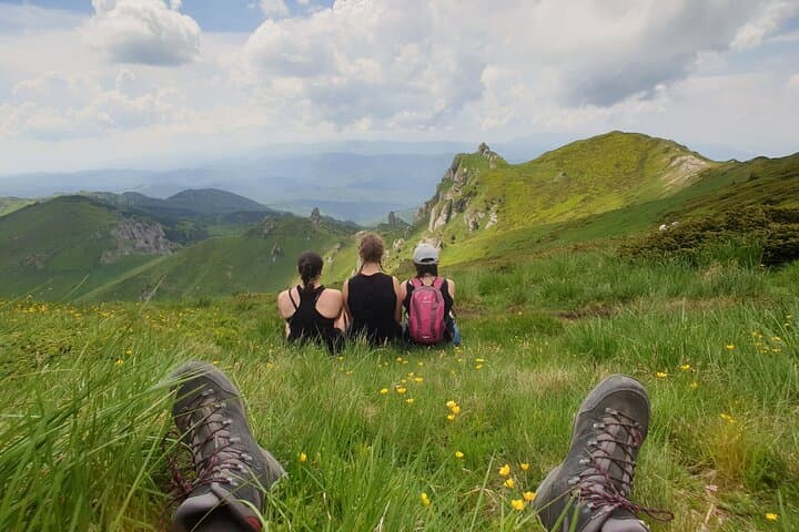 Day Hike to Ciucas Mountain: Rhododendron Ridges & Rocky Spires from Bucharest photo 6