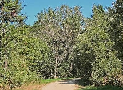 Carmel Mission Trail Audio Walk: Mission Ranch, Basilica & Nature Preserve photo 4