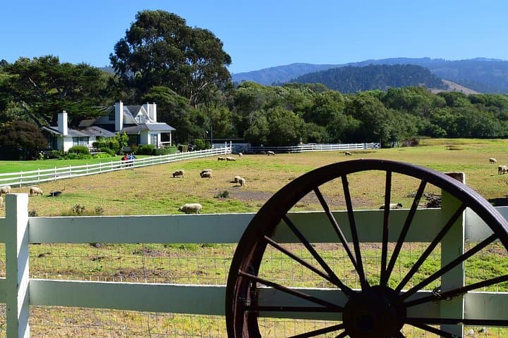 Carmel Mission Trail Audio Walk: Mission Ranch, Basilica & Nature Preserve photo 5