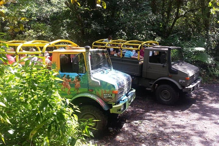 Half-Day Jeep Safari in Dominica: Ti Tou Gorge & Sulphur Springs photo 1