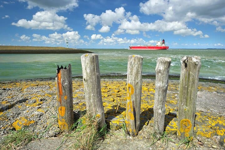 Explore Terneuzen on an e-Scavenger Hunt: Self-Guided City Game photo 3