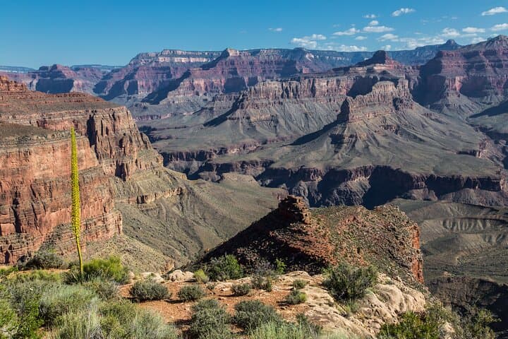 Private Grand Canyon South Rim Tour from Flagstaff & Scottsdale photo 5
