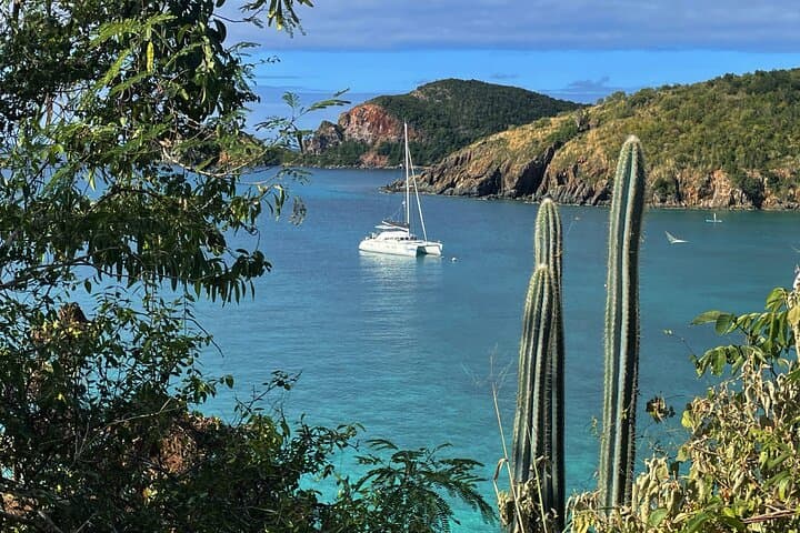 Sail and Snorkel: Fajardo Day Charter to Palomino Island aboard Janise Lagoon 380 photo 5