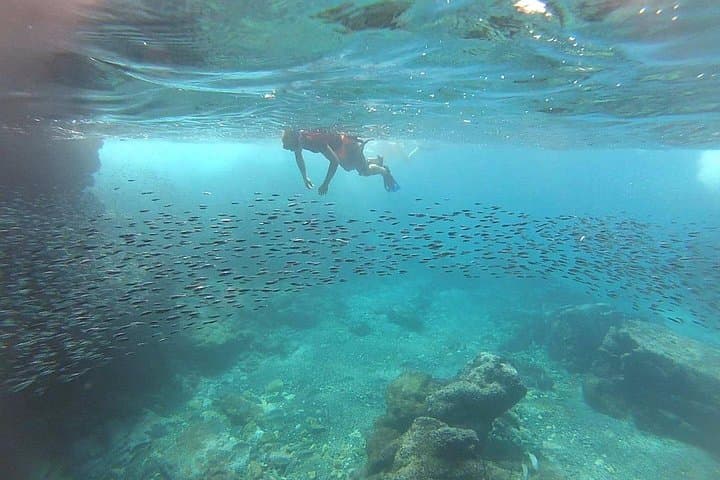 Marietas Islands Eco Discovery — Snorkel Hidden Coves from Sayulita photo 3