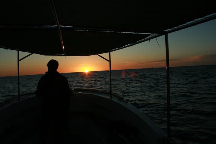 Sunrise Whale Watching in San Jose del Cabo — Small-Group Humpback & Gray Whale Cruise photo 2