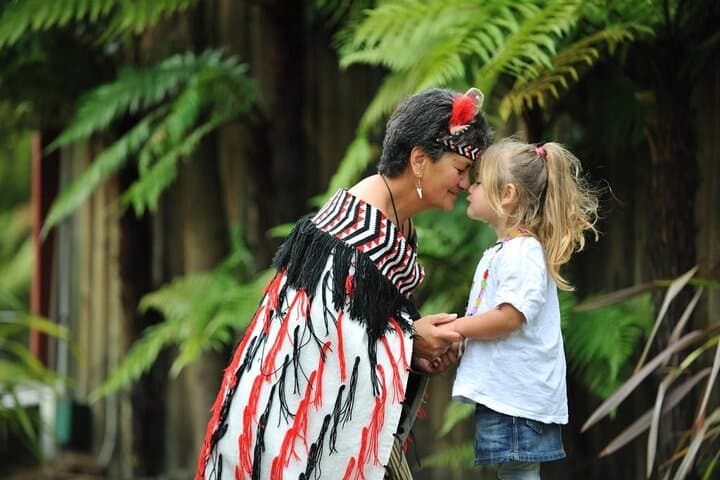 Rotorua Discovery: Te Puia Geothermal Valley, Māori Culture & Kiwi Encounter photo 3