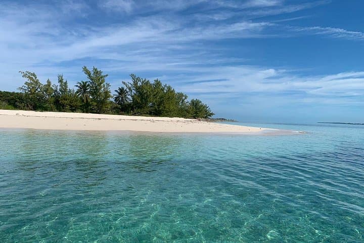 Nassau Turtle, Rose Island & Gilligan's Island Snorkel and Fishing Charter photo 3