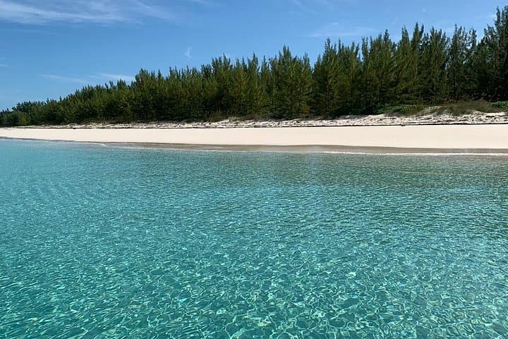 Nassau Turtle, Rose Island & Gilligan's Island Snorkel and Fishing Charter photo 4