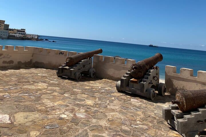 Full-Day East Oman Tour from Salalah — Wadi Darbat, Jebel Samhan & Mirbat photo 4