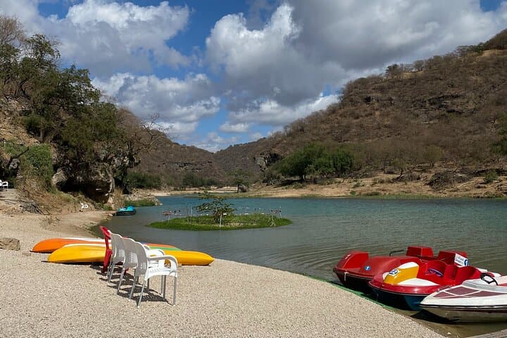 Full-Day East Oman Tour from Salalah — Wadi Darbat, Jebel Samhan & Mirbat photo 5